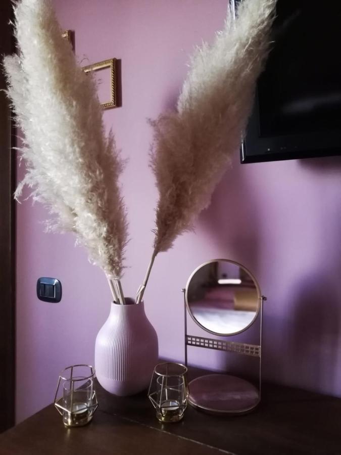 Agriturismo La Lampada Di Atena Vetralla Dış mekan fotoğraf